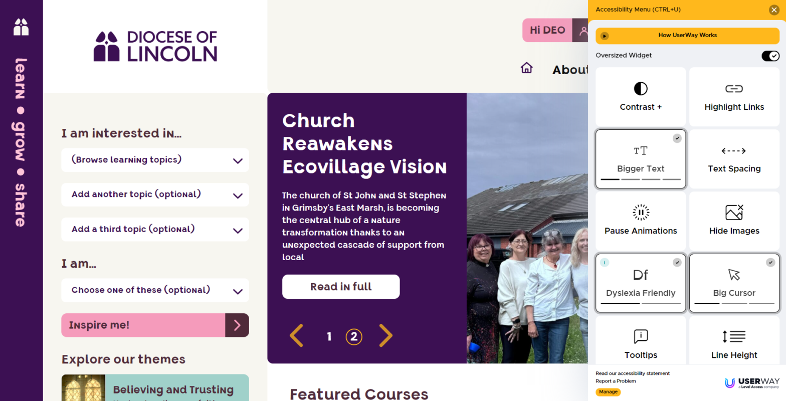 A screen grab showing accessibility options
