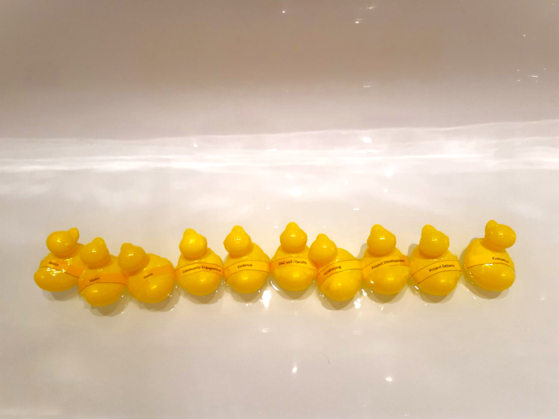 Ducks in a Row Video
